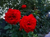 IMG-20190923-WA0003.jpg