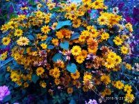 IMG-20190923-WA0002.jpg