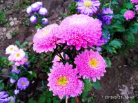 IMG-20190923-WA0001.jpg
