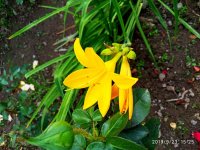IMG-20190923-WA0000.jpg