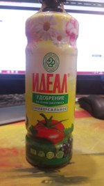 20190923_190742.jpg