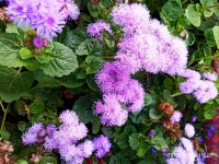 IMG-20190924-WA0001.jpg