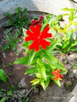 IMG-20190924-WA0002.jpg