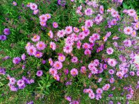 IMG-20190924-WA0014.jpg