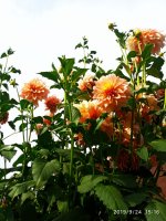IMG-20190924-WA0004.jpg