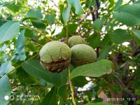 IMG-20190924-WA0010.jpg