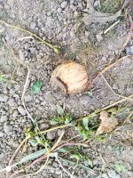 IMG-20190924-WA0005.jpg