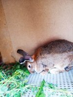 IMG-20190924-WA0017.jpg