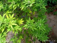 IMG-20190925-WA0014.jpg