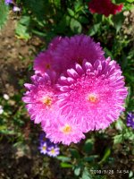 IMG-20190926-WA0026.jpg