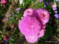 IMG-20190926-WA0025.jpg