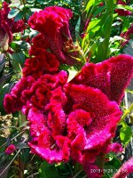 IMG-20190926-WA0024.jpg