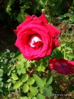IMG-20190926-WA0022.jpg