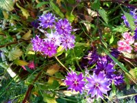 IMG-20190926-WA0020.jpg