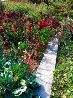 IMG-20190926-WA0017.jpg