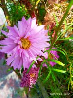 IMG-20190926-WA0016.jpg