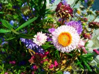 IMG-20190926-WA0015.jpg