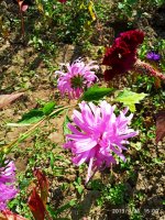 IMG-20190926-WA0014.jpg