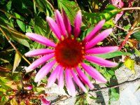 IMG-20190926-WA0012.jpg