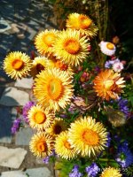 IMG-20190926-WA0011.jpg