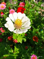 IMG-20190926-WA0010.jpg