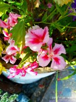IMG-20190926-WA0009.jpg