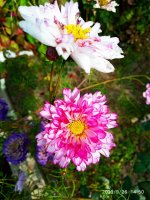 IMG-20190926-WA0008.jpg