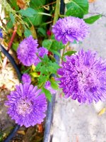IMG-20190926-WA0006.jpg