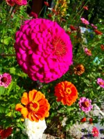IMG-20190926-WA0004.jpg