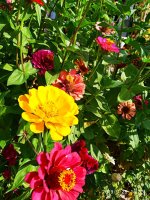 IMG-20190926-WA0003.jpg