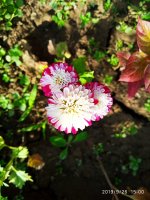 IMG-20190926-WA0002.jpg
