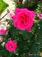 IMG-20190926-WA0000.jpg