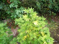 IMG-20190927-WA0020.jpg
