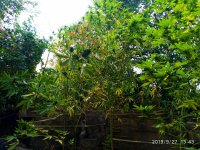 IMG-20190927-WA0003.jpg