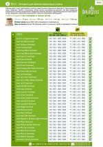 Прайс bulk автофем 2.jpg