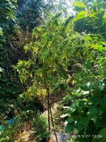 IMG-20190927-WA0026.jpg