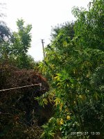 IMG-20190927-WA0021.jpg