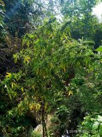 IMG-20190927-WA0024.jpg