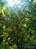 IMG-20190927-WA0023.jpg