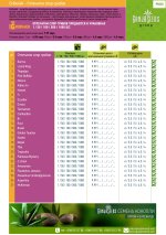 Грибочек 01.jpg