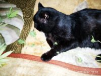 IMG-20190927-WA0033.jpg