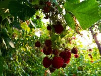 IMG-20190928-WA0004.jpg
