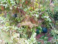 IMG-20190928-WA0006.jpg