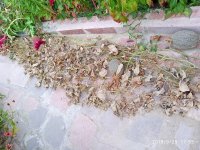 IMG-20190928-WA0003.jpg