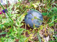 IMG-20190928-WA0002.jpg