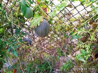 IMG-20190928-WA0000.jpg