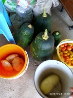 IMG-20190928-WA0011.jpg