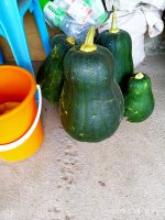 IMG-20190928-WA0010.jpg