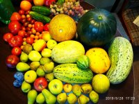 IMG-20190928-WA0009.jpg