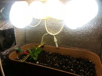 photo_2019-09-28_11-13-09 (2).jpg